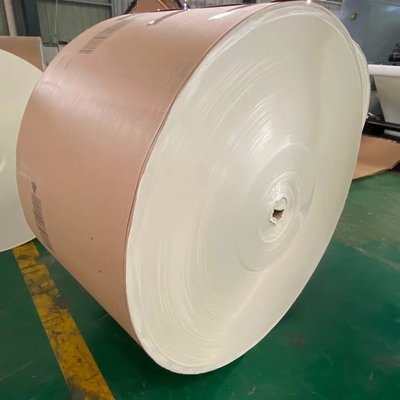 PE Coated Jumbo Roll Paper 1300mm