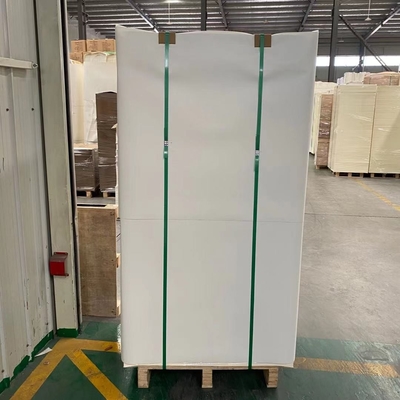 Food Grade Paper Cup Sheet Eco friendly with PE Coating White Waterproof 1-6 Colors Glossy/Matt Finish