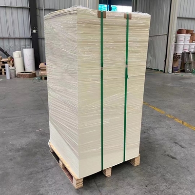 Food Grade Paper Cup Sheet Eco friendly with PE Coating White Waterproof 1-6 Colors Glossy/Matt Finish