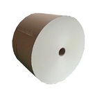 Oilproof Single PE Coated Paper Roll Non Fluorescence For Food Containers