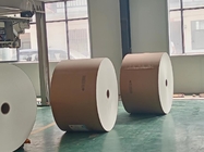 Oilproof Single PE Coated Paper Roll Non Fluorescence For Food Containers