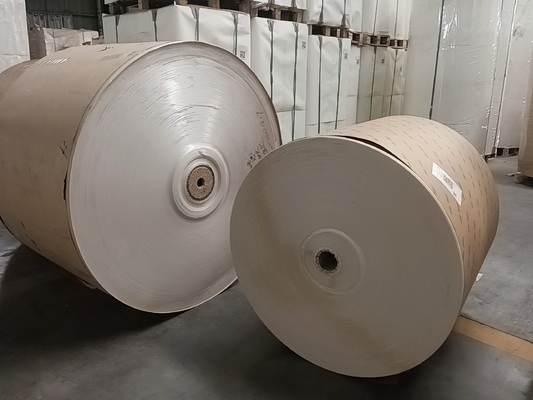 Heavy Duty White/Brown Kraft Paper PE Coated Glossy/Matte Finish