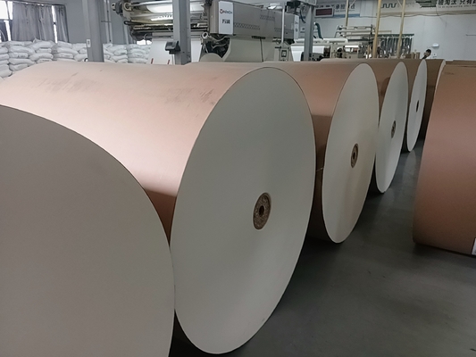 Virgin Paper Cup Fan PE Coated Roll 150-320GSM Cup Stock Paper