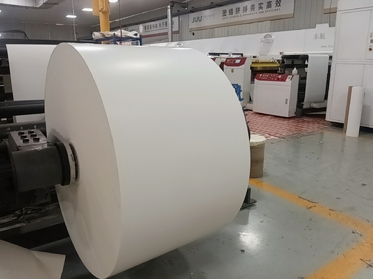 Virgin Paper Cup Fan PE Coated Roll 150-320GSM Cup Stock Paper