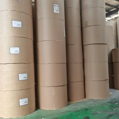 Waterproof Single Wall PE Coated Paper Roll Making Tea Cups Customized Size