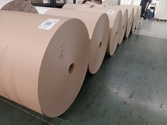 PE Coated Jumbo Roll Paper 1300mm