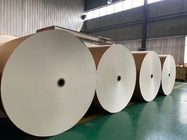 Single Wall PE Coated Paper Roll 350+12g Paper Cup Raw Material