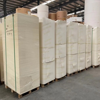 Film Laminated Waterproof Cup Paper Sheet 150-320gsm PE Coated For Flexo Offset Printing