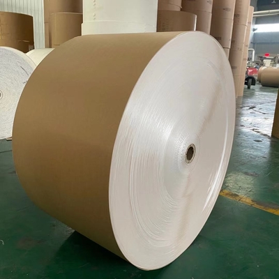 Brown Eco PE Coated Kraft Paper Roll 300G