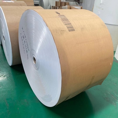 Waterproof PE Coated Paper Roll Custom Size High Bulk For Beverage Cup