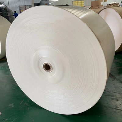 White 270 Gram Ivory Board Paper Roll