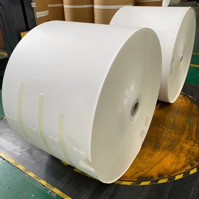 Beverage Cupstock Paper 150 To 300gsm Paper Cup Raw Material