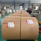 Coated To Waterproof Paper Cup Roll 280gsm Biodegradable