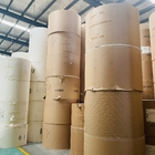 300Gram Waterproof Coated Paper Roll Paper Cup Raw Material