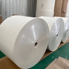 170gsm - 350gsm White Coated Paper Raw Material Paper Cup