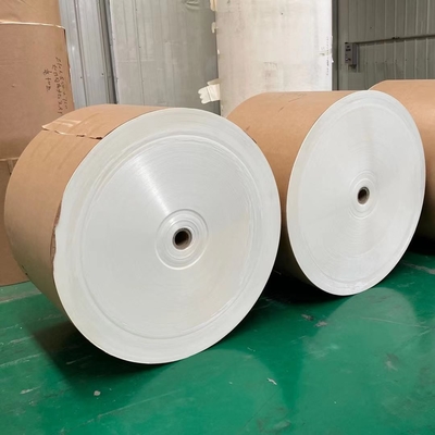 300G 320G Paper Cup Bottom Roll Single Side PE Coated 6 Inch Core