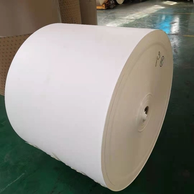 Greaseproof PE Coated Paper Roll Use For Juice Beverages 260-320gsm