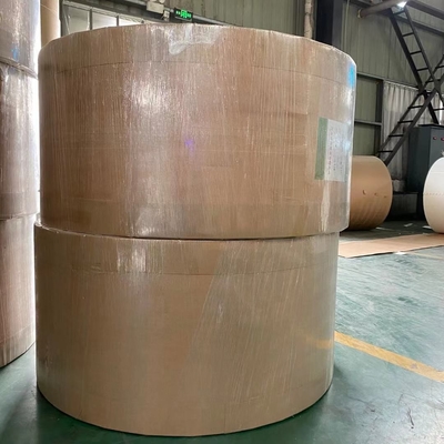 160gsm 170gsm Ivory Board Paper FBB Bristol Paper Roll