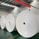 Bio 2 Side PE Coated Paper Roll Paper Cup Raw Material Specification 500mm