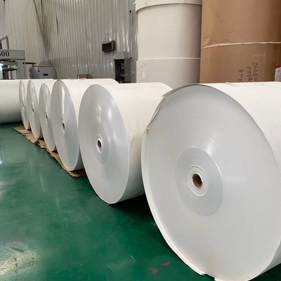 Waterproof Single Wall PE Coated Paper Roll Making Tea Cups Customized Size