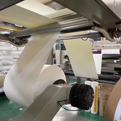 150gsm-350gsm Jumbo Paper Roll