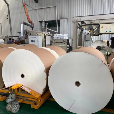 150gsm-350gsm Jumbo Paper Roll