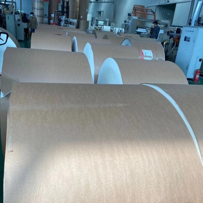 150gsm-350gsm Jumbo Paper Roll