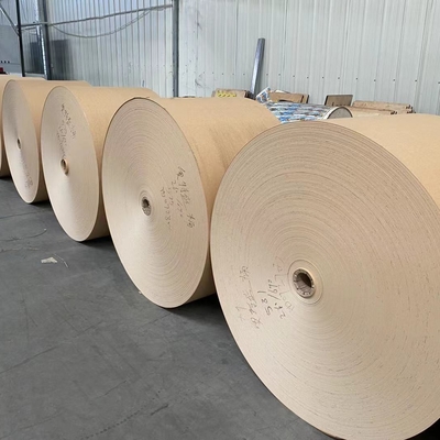 Heavy Duty White/Brown Kraft Paper PE Coated Glossy/Matte Finish