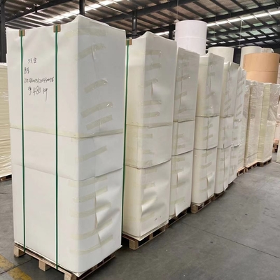 150-320gsm Paper Cup Sheet Free Sample Available For Various Printing Needs