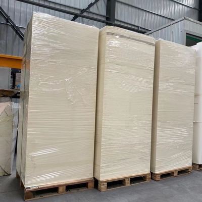 150-320gsm Paper Cup Sheet Free Sample Available For Various Printing Needs