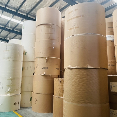Waterproof Single Wall PE Coated Paper Roll Making Tea Cups Customized Size