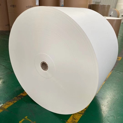 Waterproof Single Wall PE Coated Paper Roll Making Tea Cups Customized Size