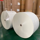 Waterproof Glossy 280gsm PE Coated Paper Roll Biodegradable