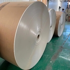 Biodegradable Eco-Friendly Food Grade PE Coated Paper Roll