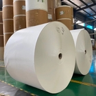 Food Grade PE Coated Paper in Roll 300gsm Raw Material For Paper Cup Making