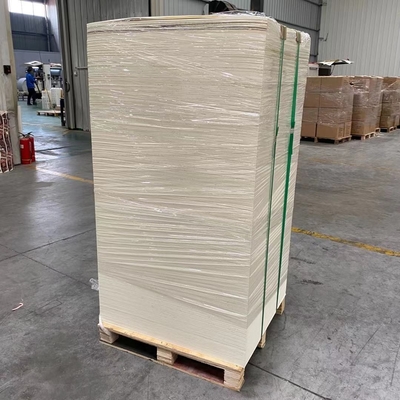 Eco friendly Food Grade Paper Cup Sheet with Film Lamination Printing