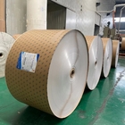 Eco Friendly Disposable PE Coated Cup Stock Paper Roll 200gsm 100% Wood  Pulp Paper