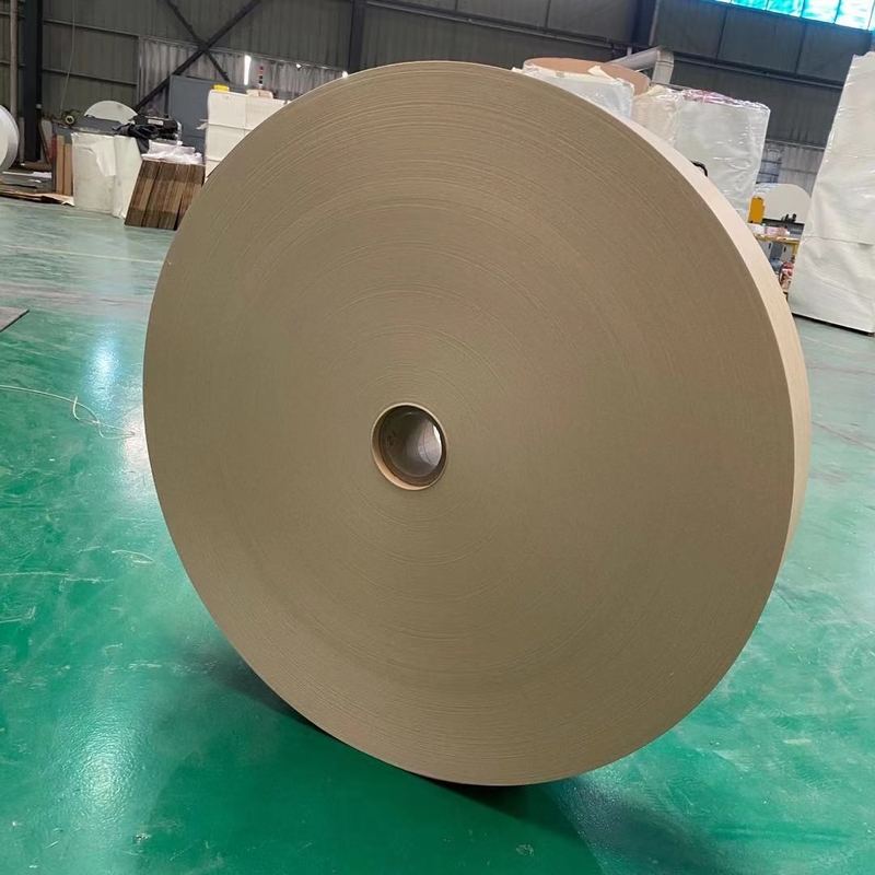 PLA Coated 50-70mm Paper Cup Bottom Roll