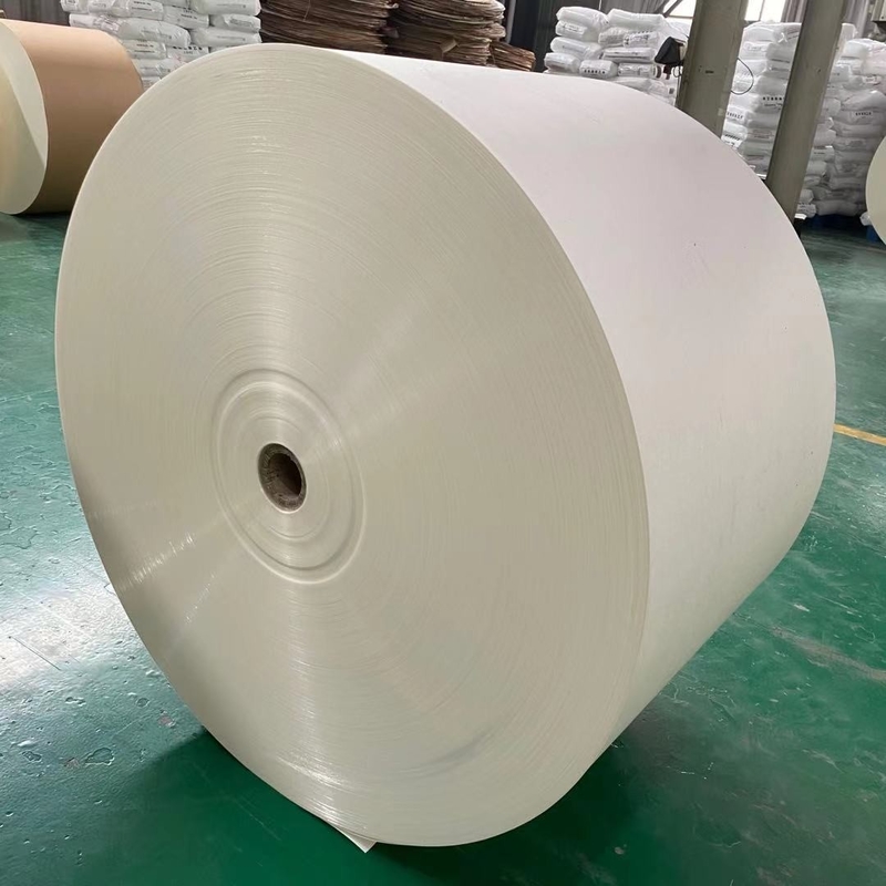 PE Jumbo Paper Roll Raw Material Required For Paper Cup Manufacturing