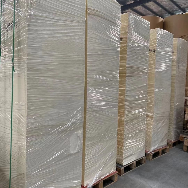 Disposable Paper Cup Raw Materials 210gsm PE Coated Paper In Sheet