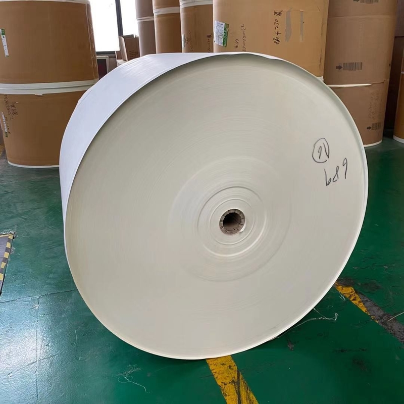 300G 320G Paper Cup Bottom Roll Single Side PE Coated 6 Inch Core