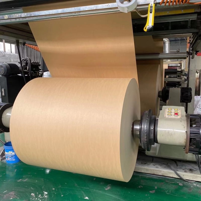 Eco-friendly 100% Virgin Wood Pulp PE Coated Craft Paper in Roll Raw Material