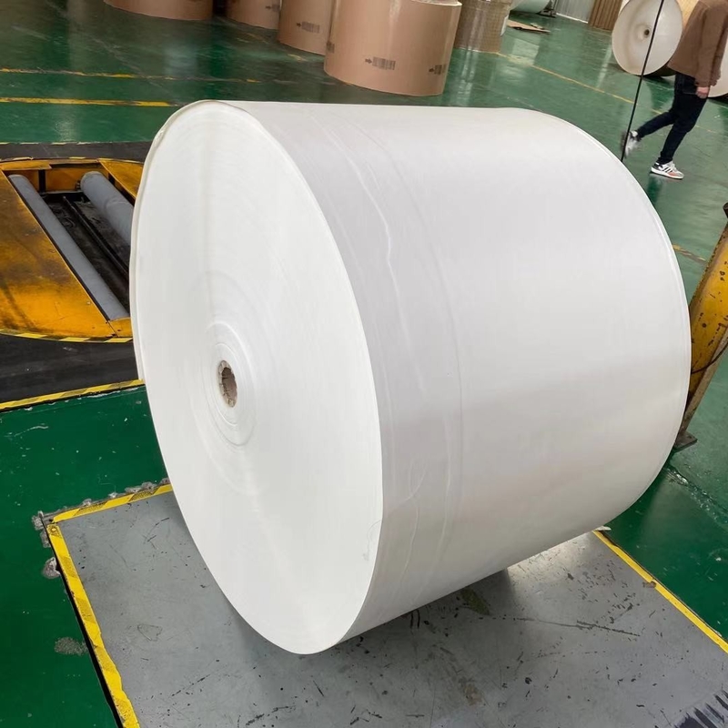 Greaseproof 150+15g PE Coated Paper Roll Raw Materials For Paper Cups