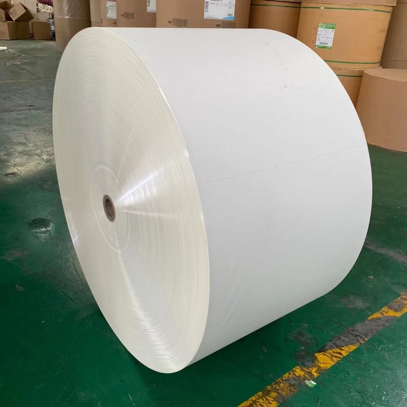 Single Double PE Laminated Paper Cup Making Raw Material 330gsm