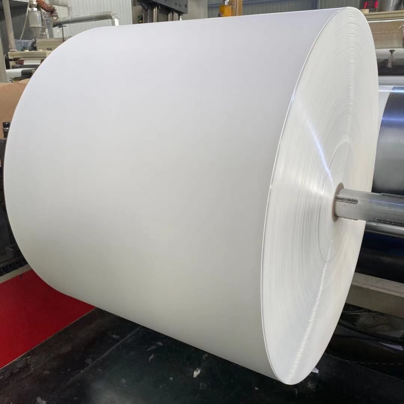 250 Gram PE Coated Paper Roll Raw Material Required For Paper Cup Manufacturing
