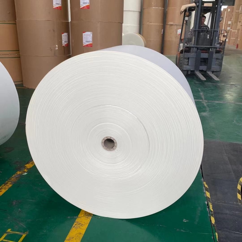 Disposable 167 Gsm PE Laminated Paper Roll For Paper Cup