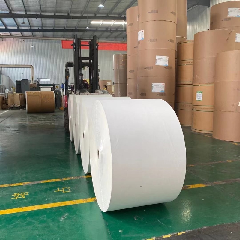 Enso 235g Jumbo Paper Roll 185gsm Single PE Coated Paper