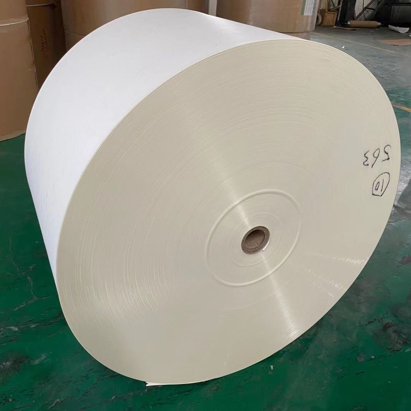 190gsm Waterproof Flexo Jumbo Paper Raw Material For Paper Cups