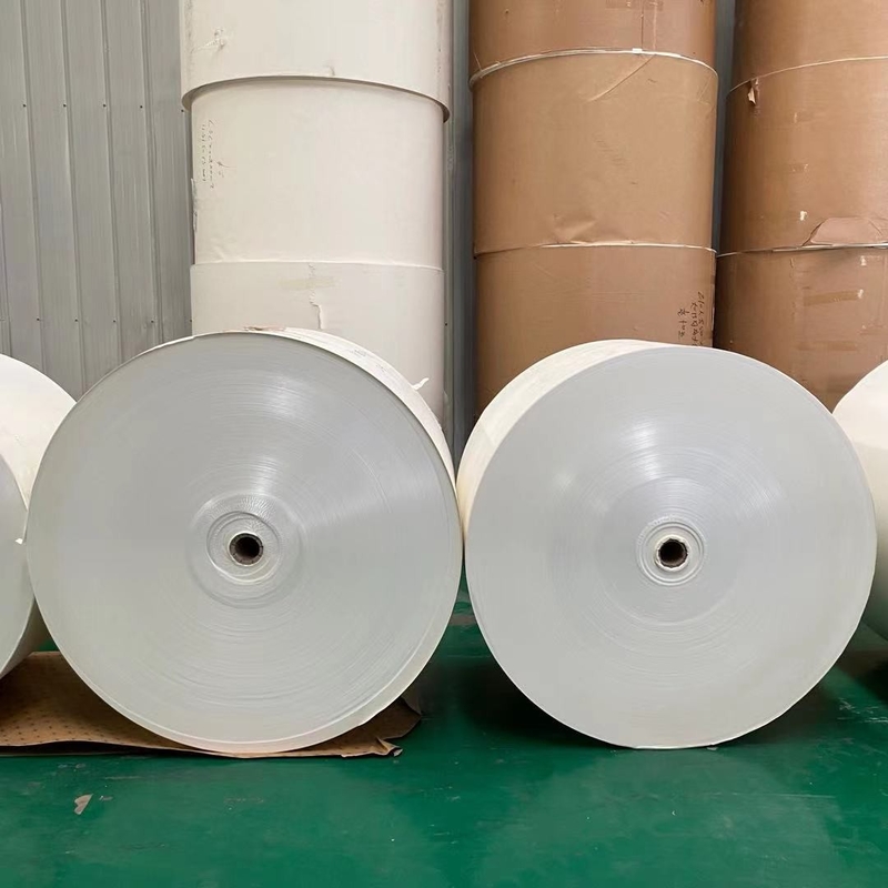 White Cardboard Jumbo Roll Paper Cup Making Raw Material 167 Gsm