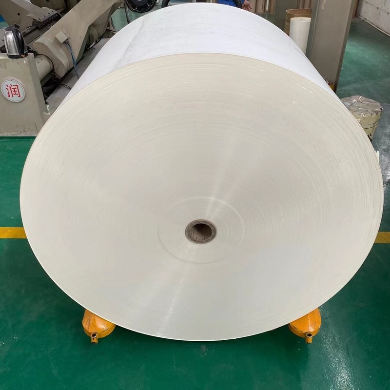 100% Virgin 210+15 Double PE Coated Paper Jumbo Roll Biodegradable